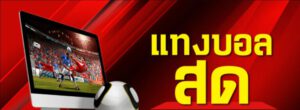 เว็บตรง แทงบอล